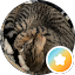 Profile photo of R G