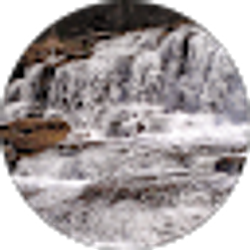 Profile photo of Marsha Mashtare