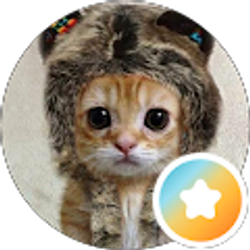 Profile photo of Nathan Lee