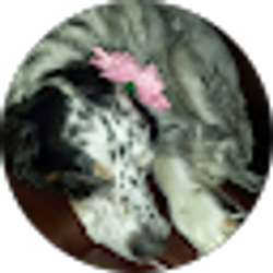 Profile photo of jill borkowski