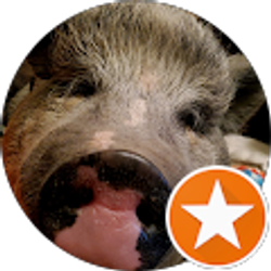 Profile photo of Matthew Cronnon