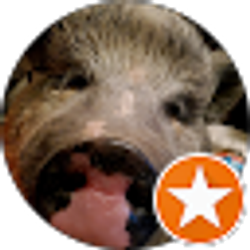 Profile photo of Matthew Cronnon