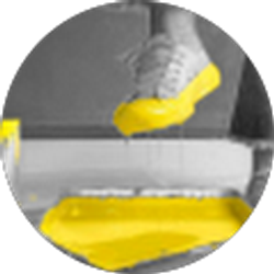 Profile photo of Caitlin Carter