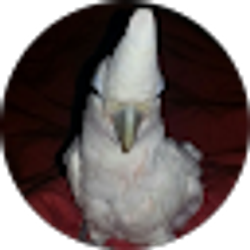 Profile photo of Trey Kirk
