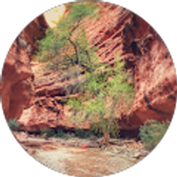 Profile photo of Dylan D'Souza