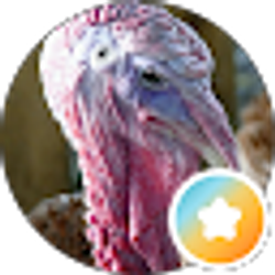 Profile photo of Pawz Hoovez