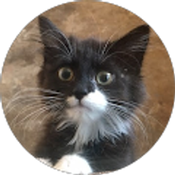 Profile photo of Marci Seghetti