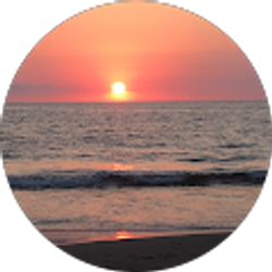 Profile photo of Amanda O