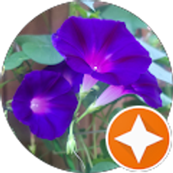 Profile photo of juanis meza