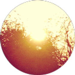 Profile photo of Patty Perez