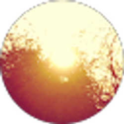 Profile photo of Patty Perez