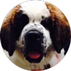 Profile photo of Jett Wood