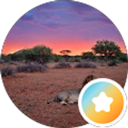 Profile photo of ana duran