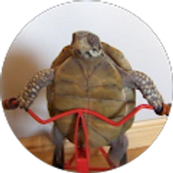 Profile photo of Brian Vazquez