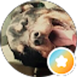 Profile photo of James Perez