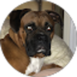 Profile photo of Ed Wortzman