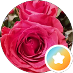 Profile photo of Annitta Starr