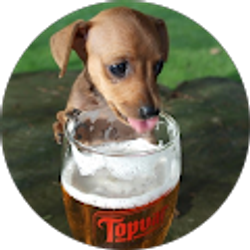 Profile photo of Chris Lyman