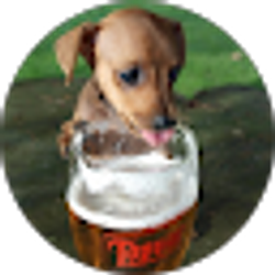Profile photo of Chris Lyman