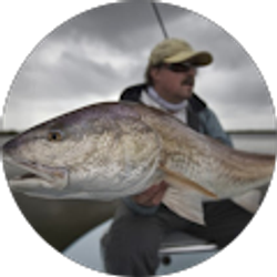 Profile photo of Perry Lisser