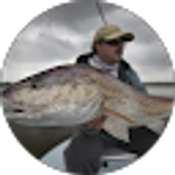 Profile photo of Perry Lisser