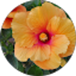 Profile photo of Joan Perry