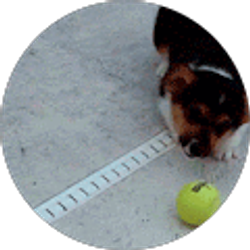 Profile photo of Harper Abbott