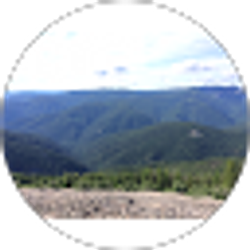 Profile photo of Lexy Vanelswyk