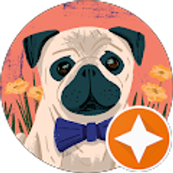 Profile photo of Sara Ro