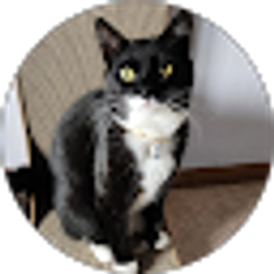 Profile photo of Joyce Jedd
