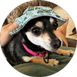 Profile photo of Ron Tiber