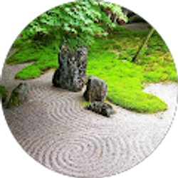 Profile photo of Jesse Moore