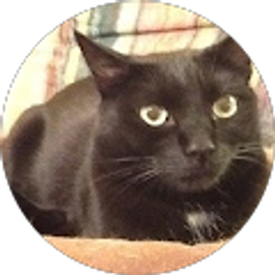 Profile photo of John Wehlitz