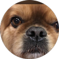 Profile photo of Wendy Troy