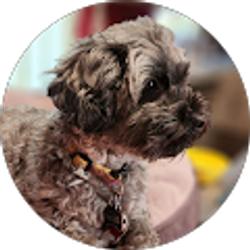 Profile photo of Becky Moore