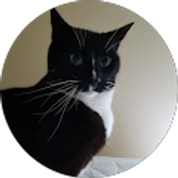 Profile photo of Tarmac