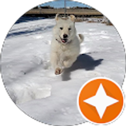 Profile photo of Justin Blatner