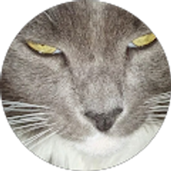 Profile photo of John Land