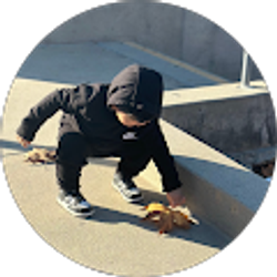 Profile photo of Marisol Rodríguez De Urías