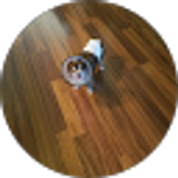 Profile photo of Julie D