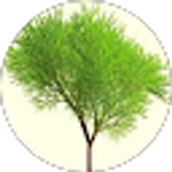 Profile photo of randomlittletree