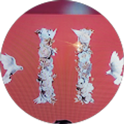 Profile photo of carla perez 2211