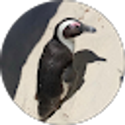Profile photo of Kaydance Goertz