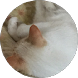 Profile photo of Ida Gray