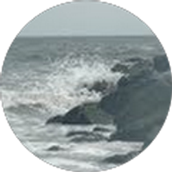 Profile photo of Layne Frearson