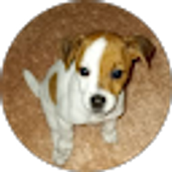 Profile photo of Athena