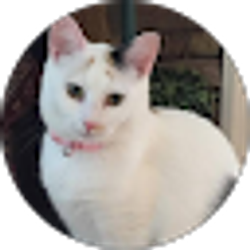 Profile photo of Darleen Whitener