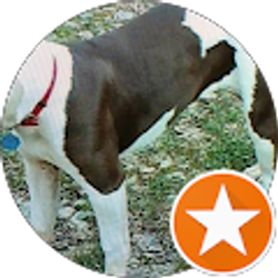 Profile photo of Robert Marshall