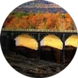 Profile photo of WarN.k