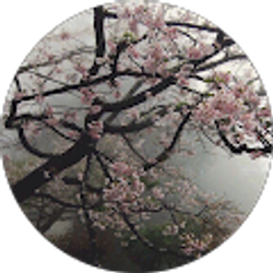 Profile photo of Hernan Castaneda